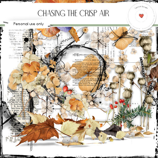 (image for) Chasing the crisp air